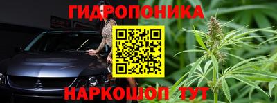 стафф Аргун